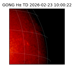 gong - 2026-02-23T10:00:22