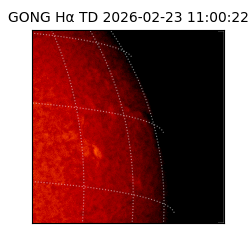 gong - 2026-02-23T11:00:22