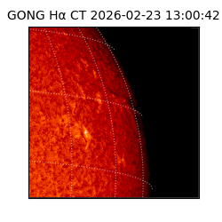 gong - 2026-02-23T13:00:42