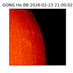 gong - 2026-02-23T21:00:02