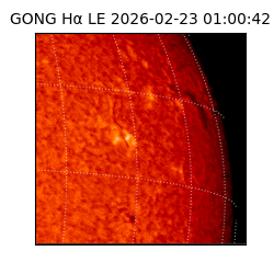 gong - 2026-02-23T01:00:42