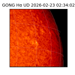 gong - 2026-02-23T02:34:02