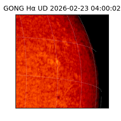 gong - 2026-02-23T04:00:02