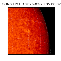 gong - 2026-02-23T05:00:02