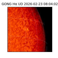 gong - 2026-02-23T08:04:02