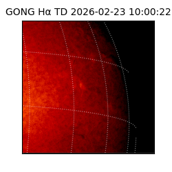 gong - 2026-02-23T10:00:22