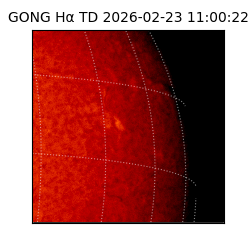 gong - 2026-02-23T11:00:22