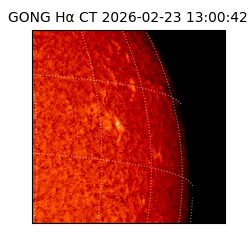 gong - 2026-02-23T13:00:42