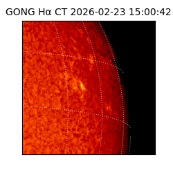gong - 2026-02-23T15:00:42