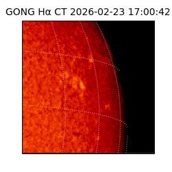 gong - 2026-02-23T17:00:42