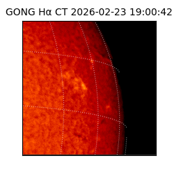 gong - 2026-02-23T19:00:42
