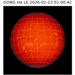 gong - 2026-02-23T01:00:42