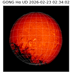 gong - 2026-02-23T02:34:02