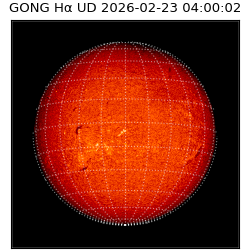 gong - 2026-02-23T04:00:02