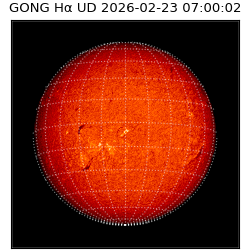 gong - 2026-02-23T07:00:02