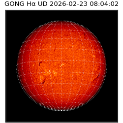 gong - 2026-02-23T08:04:02