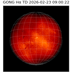 gong - 2026-02-23T09:00:22