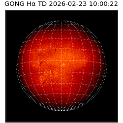 gong - 2026-02-23T10:00:22