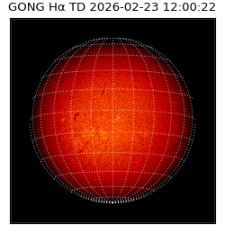 gong - 2026-02-23T12:00:22