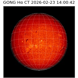 gong - 2026-02-23T14:00:42