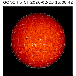 gong - 2026-02-23T15:00:42