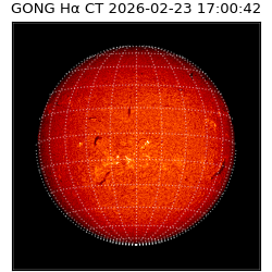 gong - 2026-02-23T17:00:42