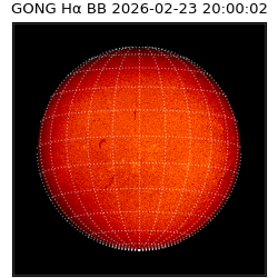 gong - 2026-02-23T20:00:02
