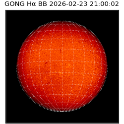 gong - 2026-02-23T21:00:02