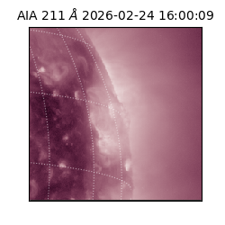 saia - 2026-02-24T16:00:09.625000