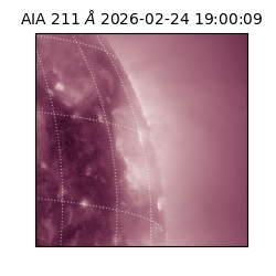 saia - 2026-02-24T19:00:09.618000