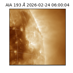 saia - 2026-02-24T06:00:04.843000