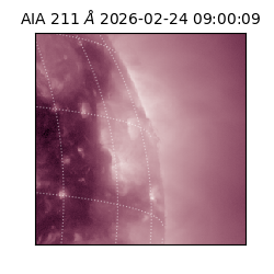 saia - 2026-02-24T09:00:09.626000