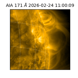 saia - 2026-02-24T11:00:09.350000