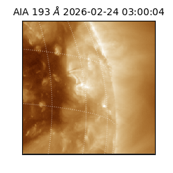 saia - 2026-02-24T03:00:04.835000