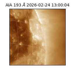 saia - 2026-02-24T13:00:04.843000