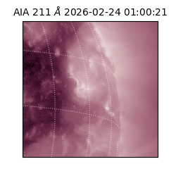 saia - 2026-02-24T01:00:21.618000