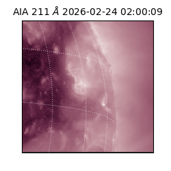 saia - 2026-02-24T02:00:09.619000