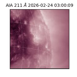 saia - 2026-02-24T03:00:09.618000