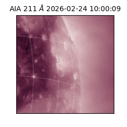 saia - 2026-02-24T10:00:09.626000