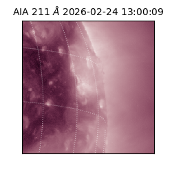 saia - 2026-02-24T13:00:09.626000