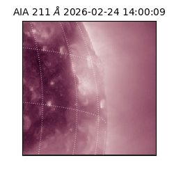 saia - 2026-02-24T14:00:09.630000