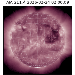 saia - 2026-02-24T02:00:09.619000