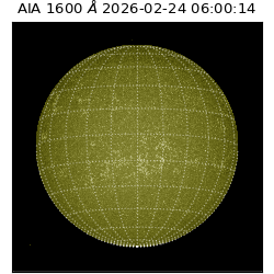 saia - 2026-02-24T06:00:14.125000