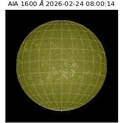 saia - 2026-02-24T08:00:14.129000