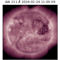 saia - 2026-02-24T11:00:09.626000