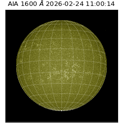 saia - 2026-02-24T11:00:14.125000