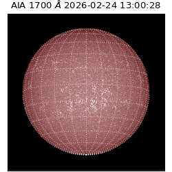 saia - 2026-02-24T13:00:28.726000