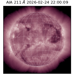 saia - 2026-02-24T22:00:09.626000
