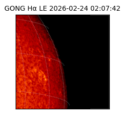 gong - 2026-02-24T02:07:42