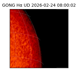 gong - 2026-02-24T08:00:02